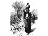 Women carrying water pots